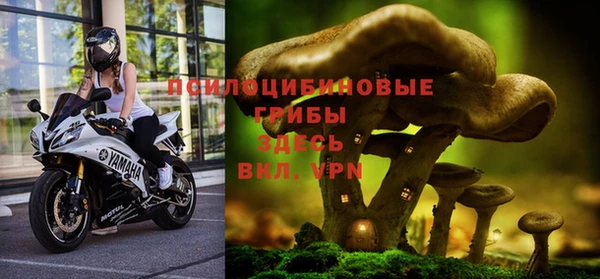 спиды Абинск
