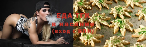 тгк Абаза