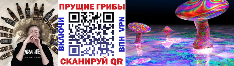 Галлюциногенные грибы ЛСД  Каменск-Шахтинский 