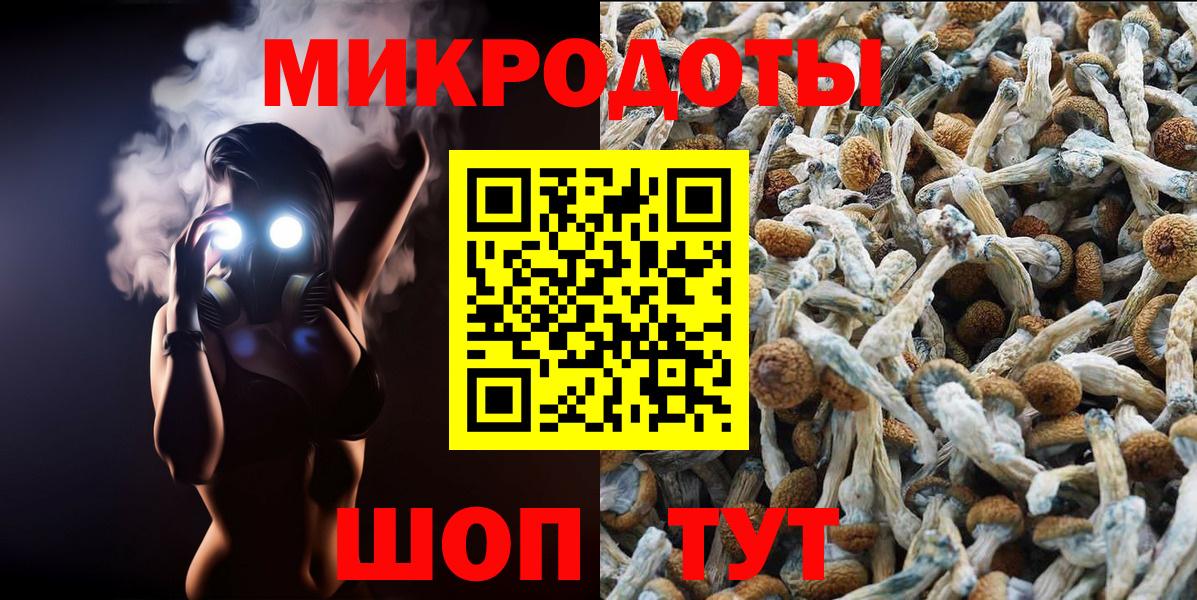 Галлюциногенные грибы GOLDEN TEACHER Каменск-Шахтинский