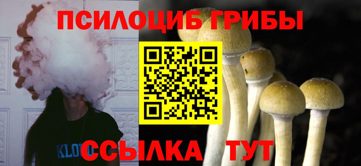 Галлюциногенные грибы Cubensis  Вход с VPN  Каменск-Шахтинский 